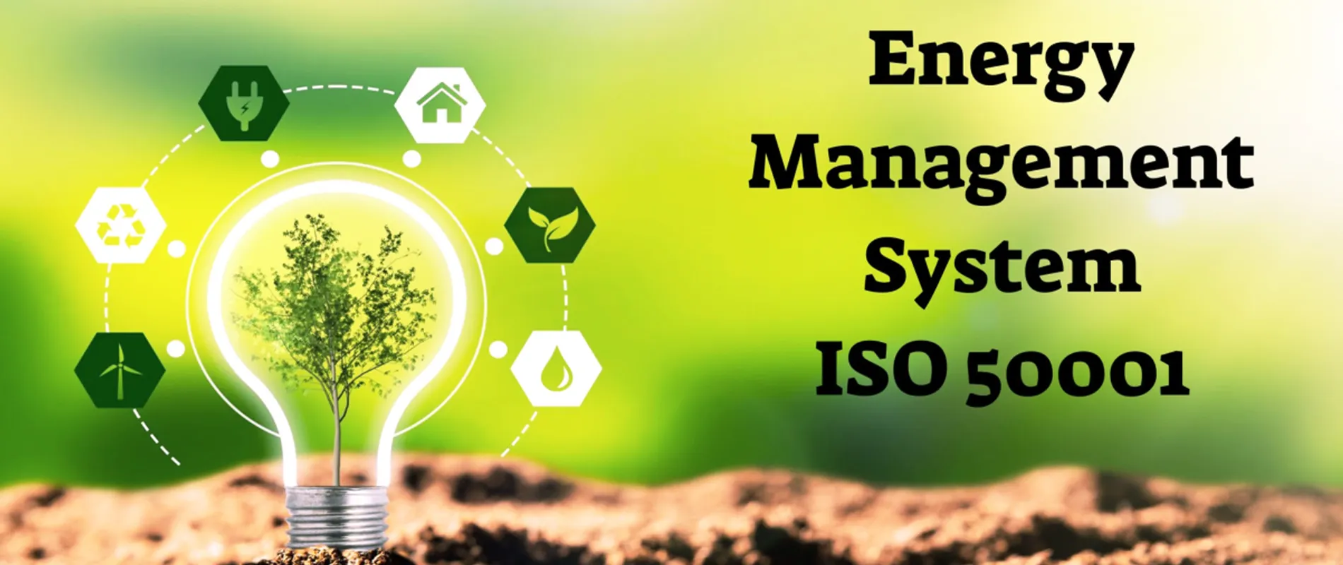 ISO 50001 Energy Management System: How to Obtain It in Saudi Arabia