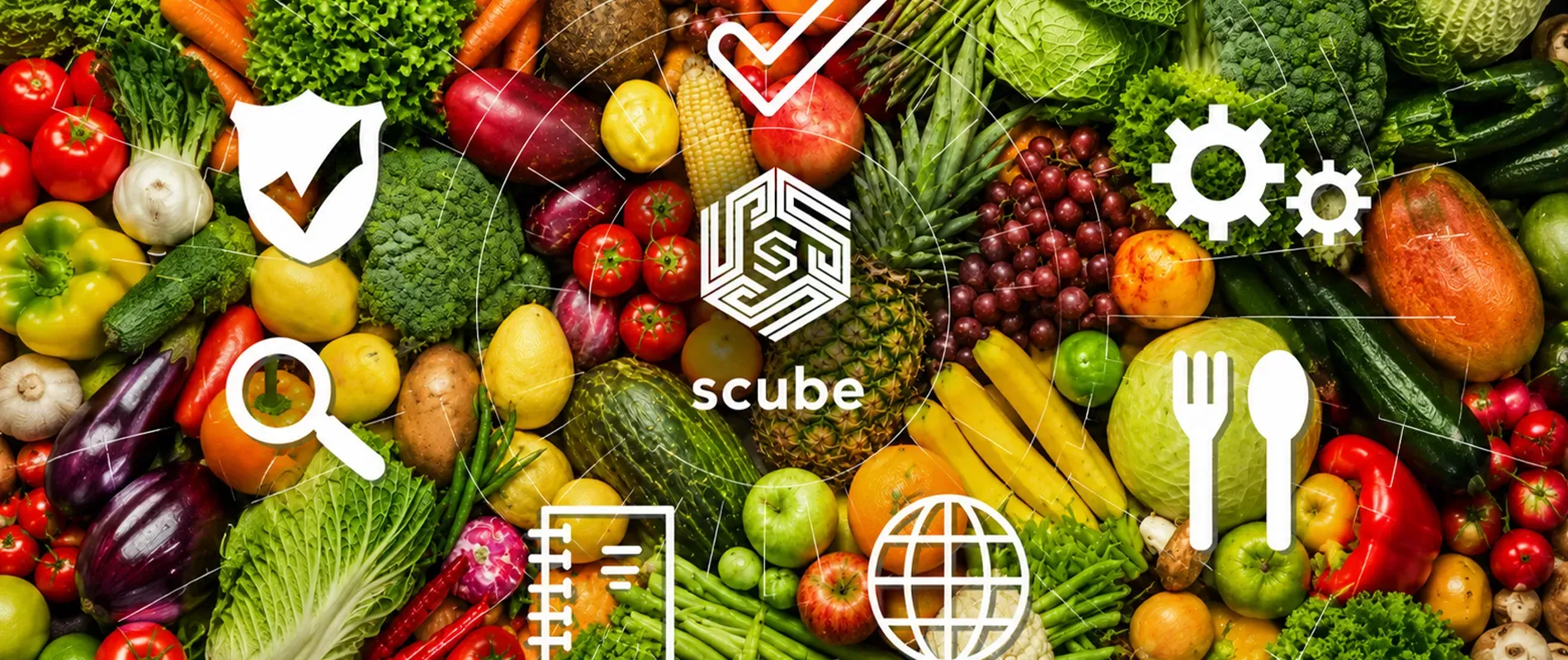 How ISO 22000 Supports Saudi Food Export Compliance